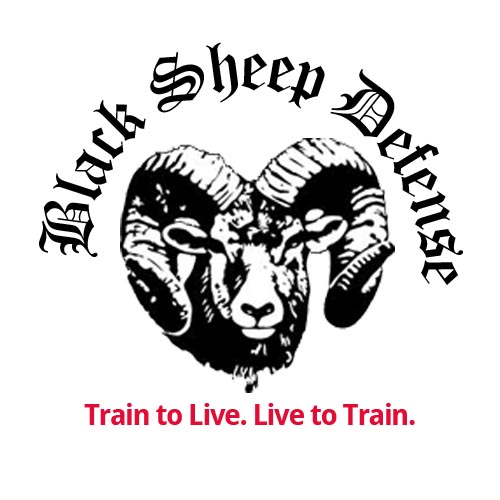 Black Sheep Defense: WI Conceal Carry Classes